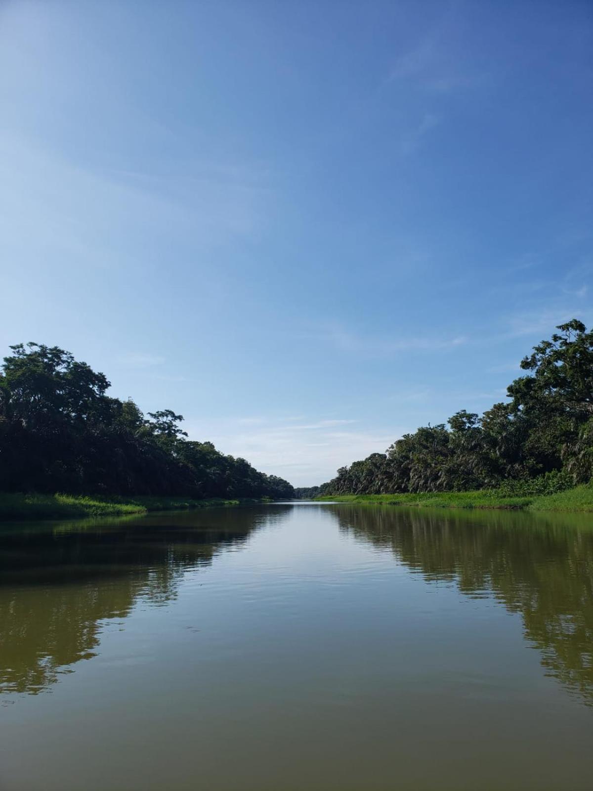 Alma Del Bosque Hotel Tortuguero Luaran gambar