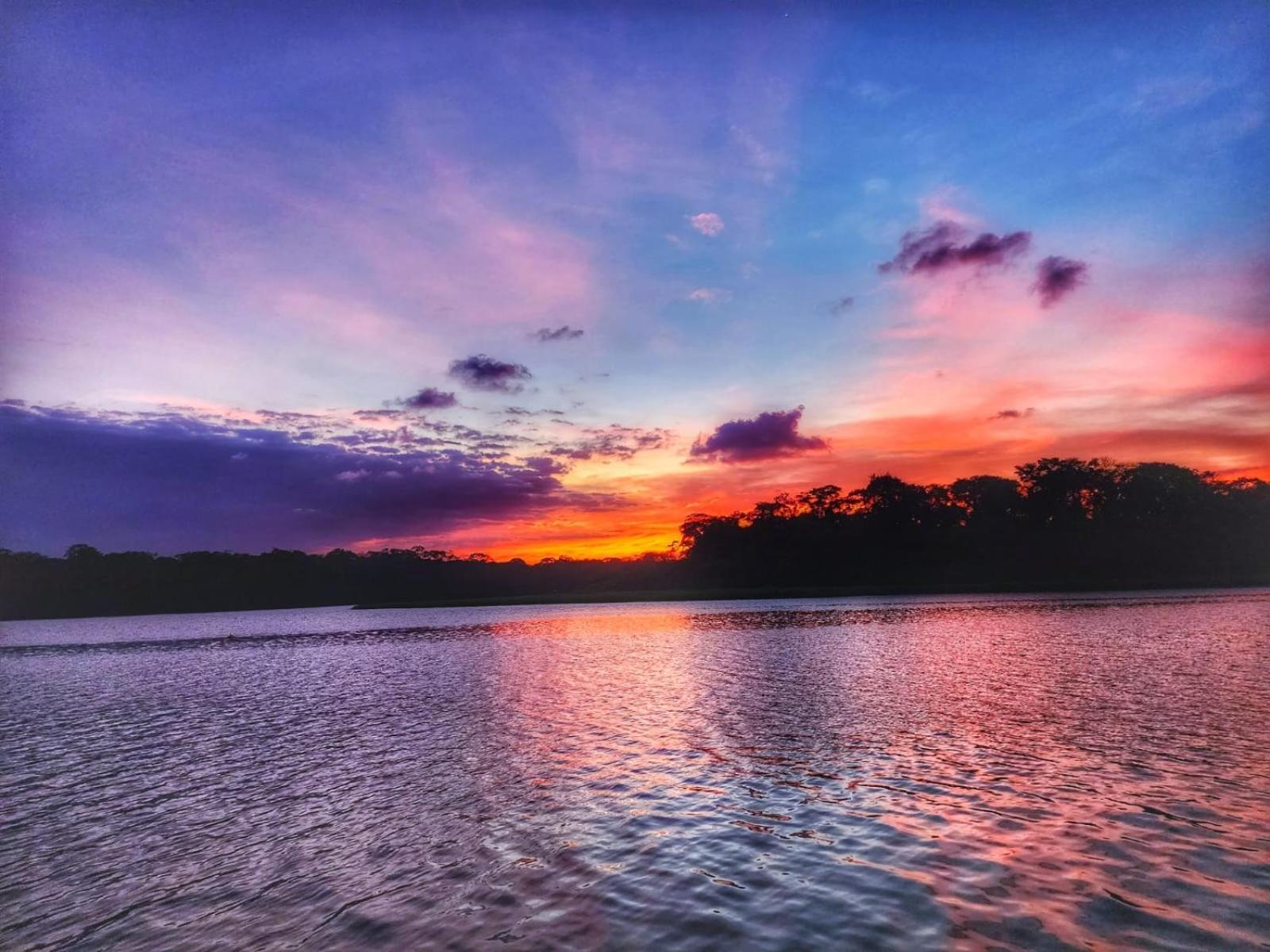 Alma Del Bosque Hotel Tortuguero Luaran gambar